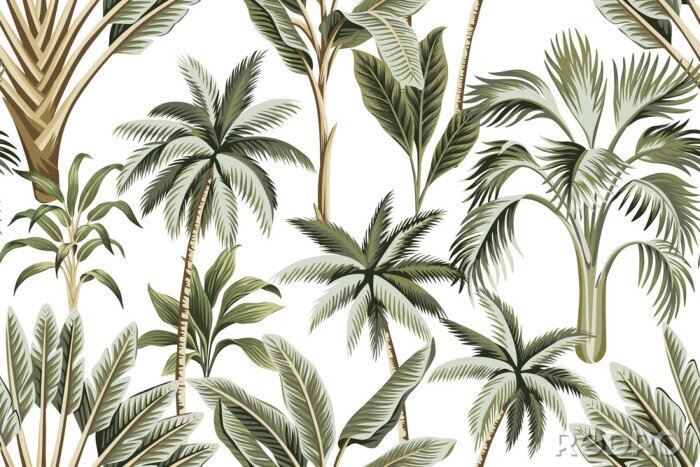 Poster  Palmiers tropicaux sur fond blanc