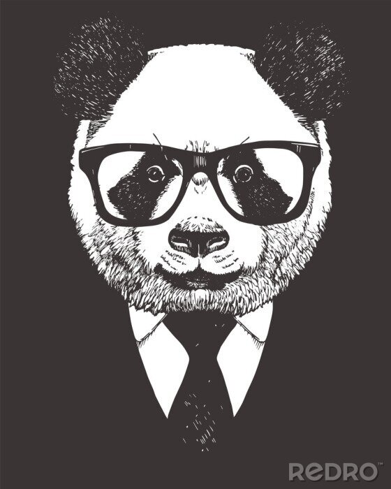 Poster  Panda à lunettes et costume