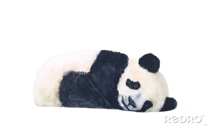 Poster  Panda aquarelle pensif