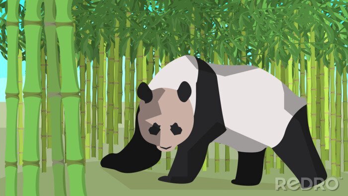 Poster  Panda avec bambou en arrière-plan