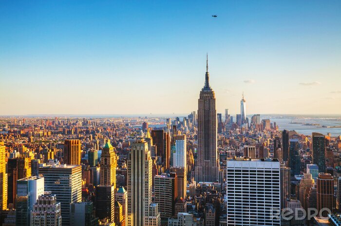 Poster  Panorama avec les gratte-ciels