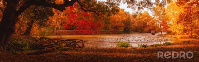 Poster  Panorama d'automne avec un pont en bois