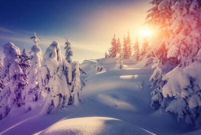 Poster  Panorama d'hiver au lever du soleil
