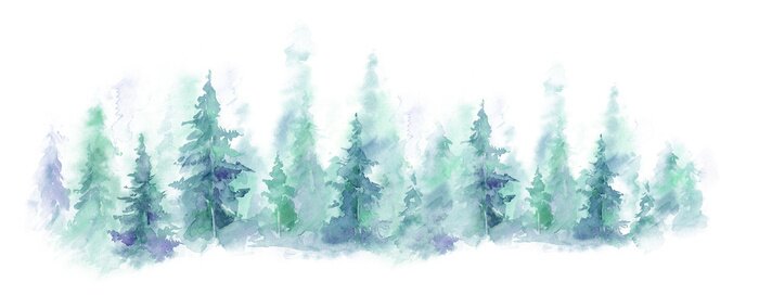 Poster  Panorama d'une forêt peint à l'aquarelle