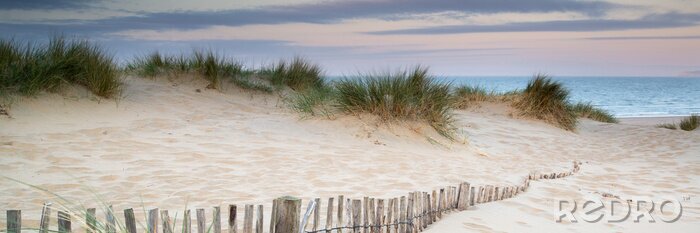 Poster  Panorama d'une plage de dunes et de la mer