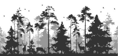 Poster  Panorama de la forêt avec des animaux