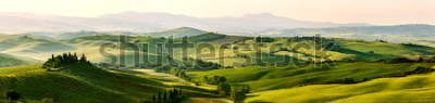 Poster  Panorama des collines verdoyantes de Toscane