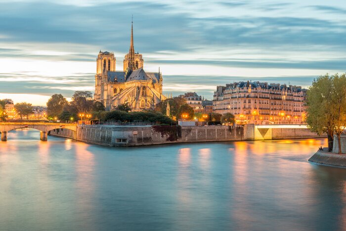 Poster  Panorama la Seine et Notre-Dame
