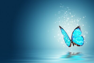 Papillon bleu au-dessus de l'eau
