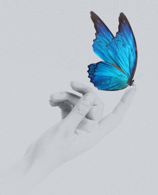 Papillon bleu sur la main