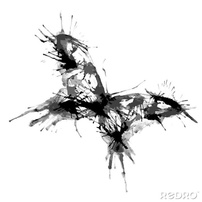 Poster  Papillon noir et blanc