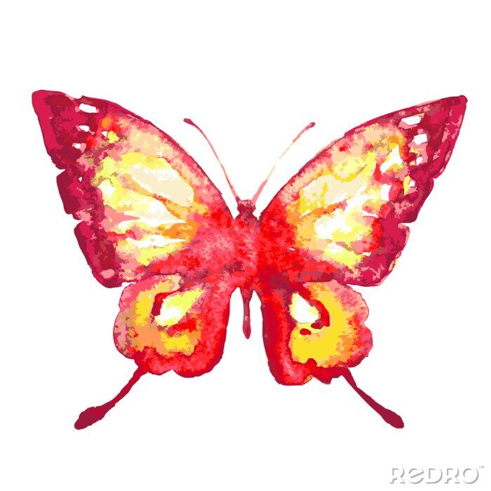 Poster  Papillon rouge aquarelle