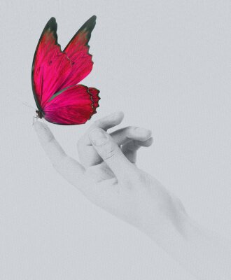Papillon rouge assis sur la main