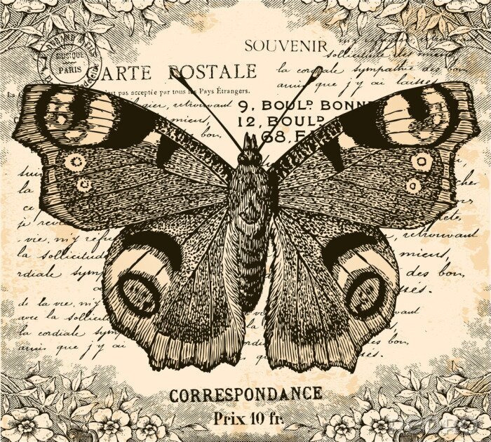 Poster  Papillon style rétro