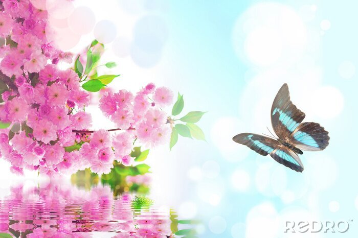 Poster  Papillon sur le ciel