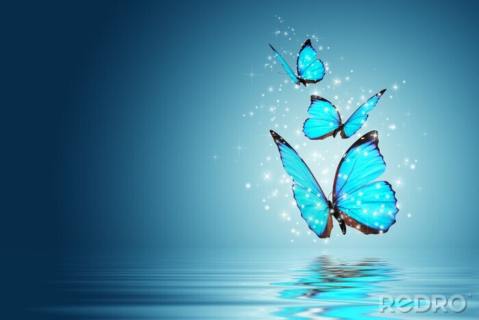 Poster  Papillons bleus au-dessus de l'eau