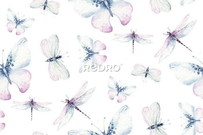 Poster  Papillons et libellules aquarellés sur fond blanc