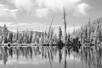 Parc national de Yellowstone abattu dans l'infrarouge native