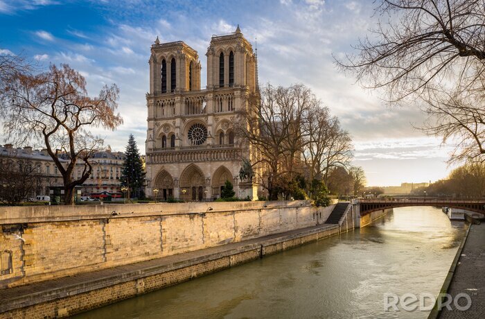 Poster  Paris et la cathédrale Notre-Dame le matin