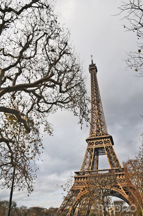 Poster  Paris et la Tour Eiffel en automne