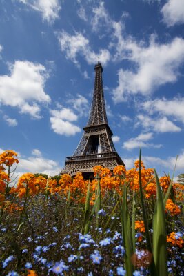 Poster  Paris et la Tour Eiffel en fleurs