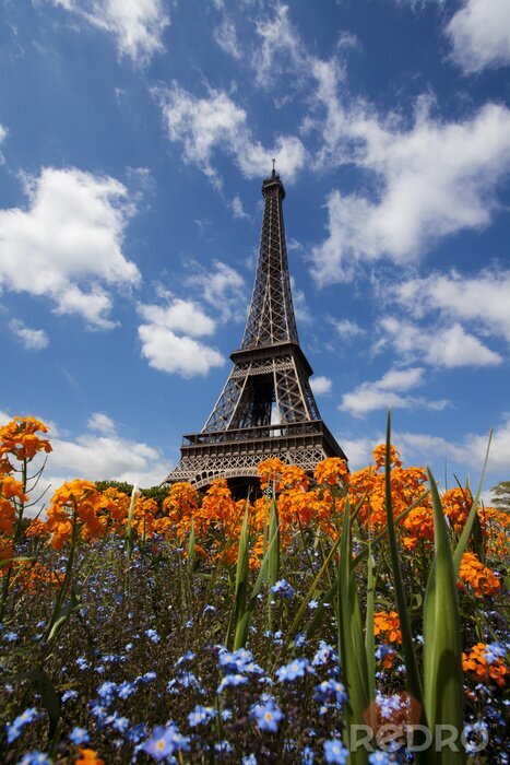 Poster  Paris et la Tour Eiffel en fleurs