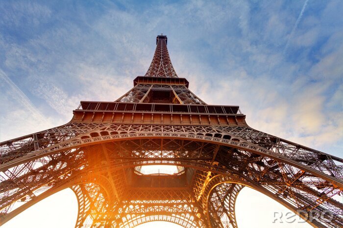 Poster  Paris et la Tour Eiffel perspective d'une grenouille