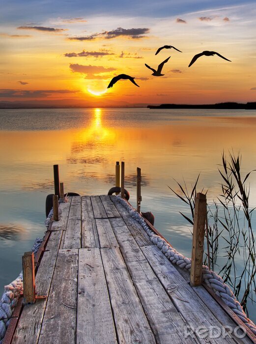 Poster  Passerelle ancienne et cordes