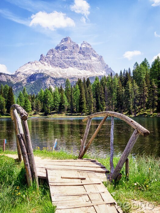 Poster  Passerelle clairière montagnes