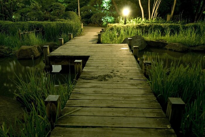 Poster  Passerelle éclairée au milieu de la nature
