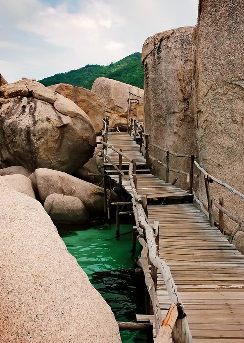 Poster  Passerelle sur l'eau