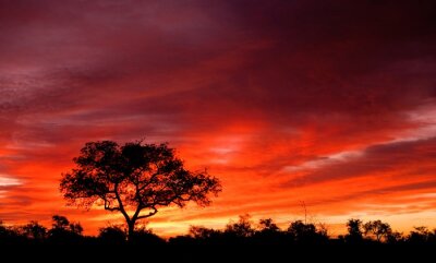 Paysage avec coucher de soleil en Afrique