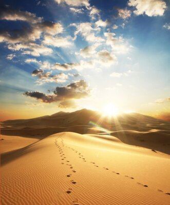 Paysage avec empreintes de pas dans le désert