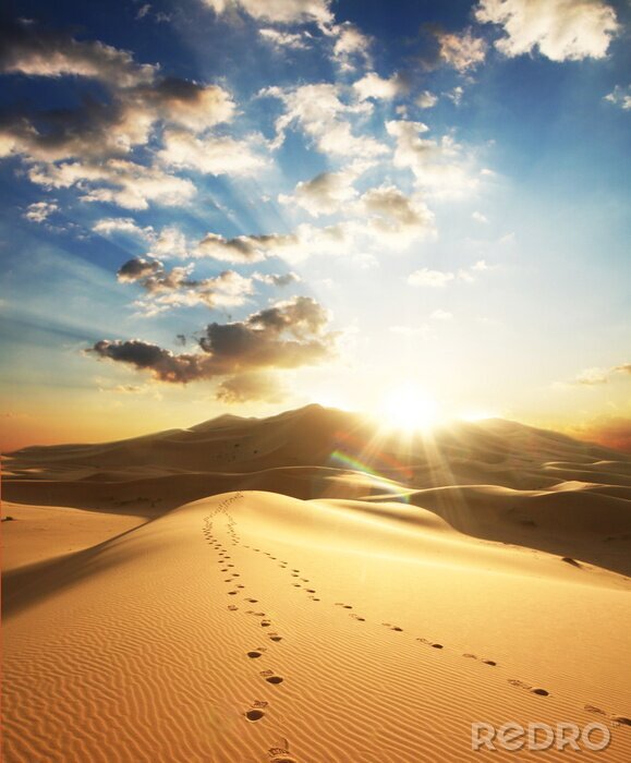 Poster  Paysage avec empreintes de pas dans le désert