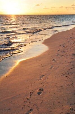 Paysage avec empreintes de pas sur la plage
