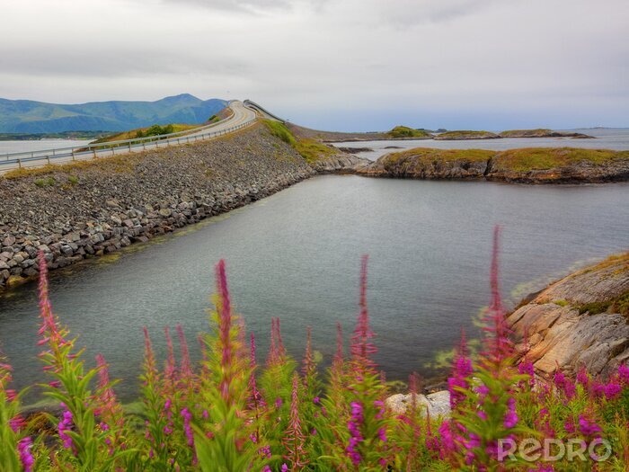 Poster  Paysage avec la Route de l'Atlantique
