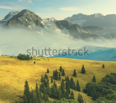 Poster  Paysage avec une clairière de montagne
