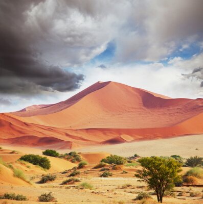 Paysage avec une colline désertique