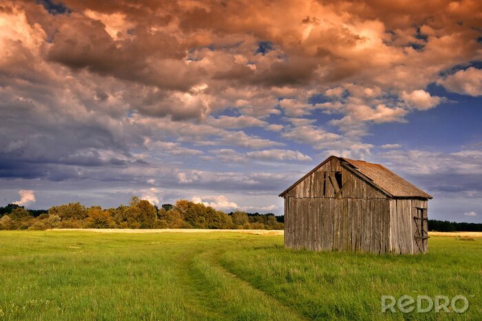 Poster  Paysage avec une grange en bois