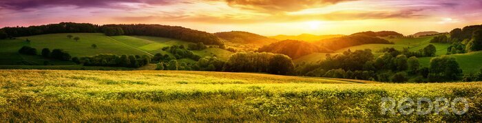 Poster  Paysage champêtre au coucher du soleil