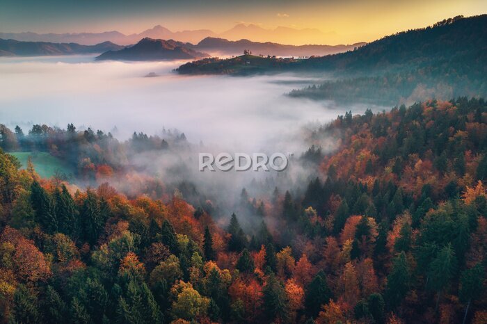 Poster  Paysage d'automne forêt du matin dans la brume