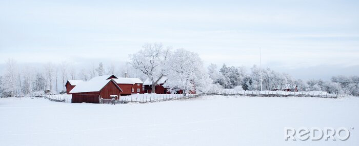 Poster  Paysage d'hiver avec une ferme