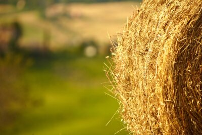 Paysage de la Toscane avec balles de foin