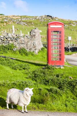 Poster  Paysage de Londres avec cabine téléphonique et moutons