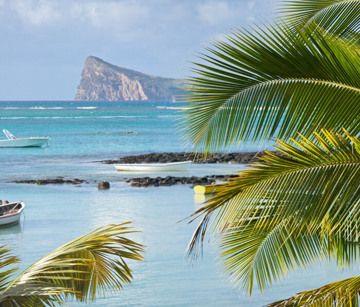 Poster  Paysage de mer avec une falaise
