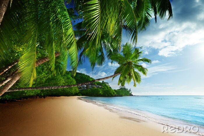 Poster  Paysage de mer calme d'une plage exotique