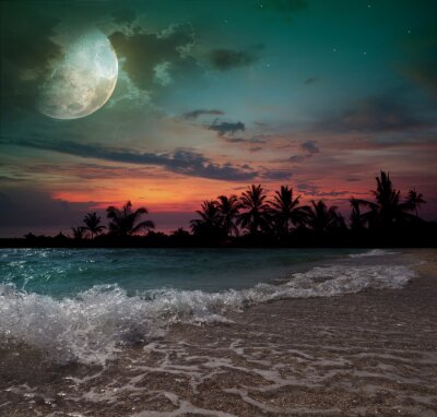 Poster  Paysage de mer tranquille avec la lune