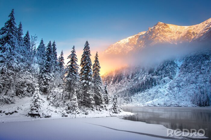 Poster  Paysage de montagne d'hiver avec un lac