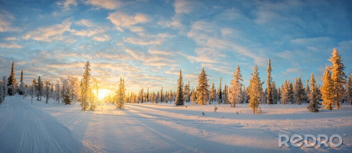 Poster  Paysage de neige au coucher du soleil, arbres gelés en hiver à Saariselka, Laponie, Finlande