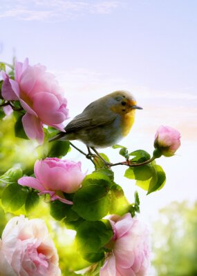 Paysage de printemps avec des roses et un oiseau